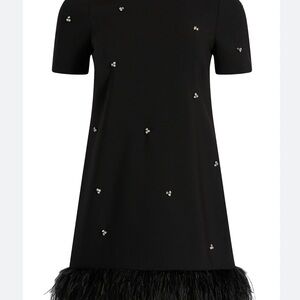 Black Dress with Feather Hem and Embellishments